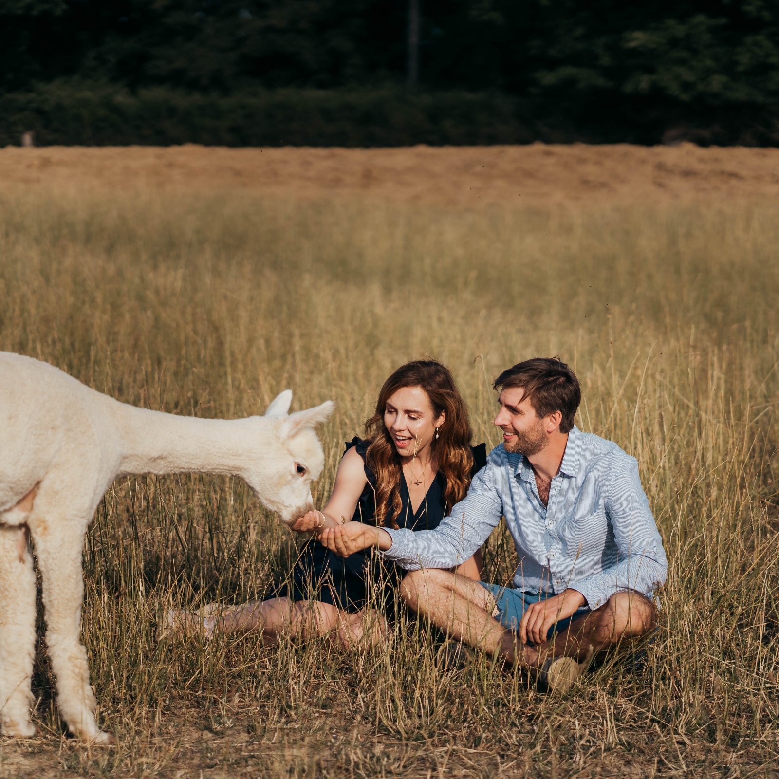 Farm Photography